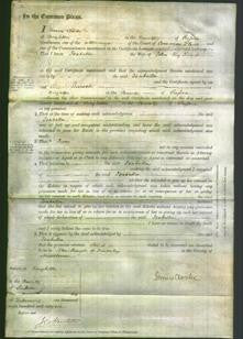 Court of Common Pleas - Isabella Puget-Original Ancestry
