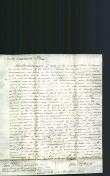 Court of Common Pleas - Jane Campion-Original Ancestry