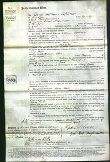 Court of Common Pleas - Mary Foster-Original Ancestry