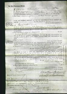 Court of Common Pleas - Sophia Fritoph-Original Ancestry