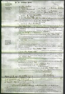 Court of Common Pleas - Jane Mossuss Cooper-Original Ancestry