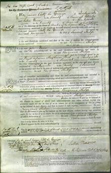 Court of Common Pleas - Georgiana Hodges-Original Ancestry