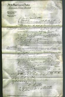 Court of Common Pleas - Ann Cunnington-Original Ancestry