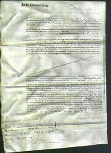 Court of Common Pleas - Mary Anne Lambert-Original Ancestry