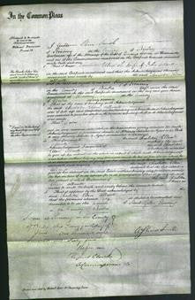 Court of Common Pleas - Charlotte Ellen Allnutt-Original Ancestry