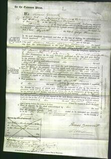 Court of Common Pleas - Elizabeth Thomas-Original Ancestry