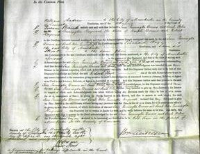 Court of Common Pleas - Jane Pennington Barnes and Sarah Helen Pennington Hayward-Original Ancestry