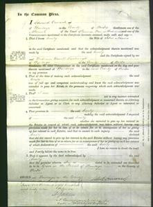 Court of Common Pleas - Emily Adams-Original Ancestry