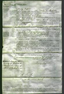 Court of Common Pleas - Ann Blomfield-Original Ancestry