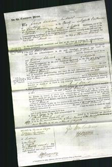 Court of Common Pleas - Sarah Beand-Original Ancestry