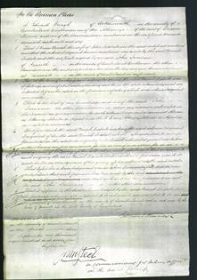 Court of Common Pleas - Dinah Tredale-Original Ancestry