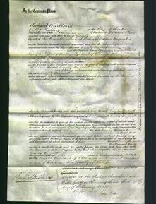 Court of Common Pleas - Emily Nugent-Original Ancestry