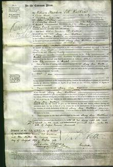 Court of Common Pleas - Mary Ann Watkins-Original Ancestry