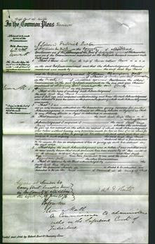 Court of Common Pleas - Sarah Eliza Thame-Original Ancestry