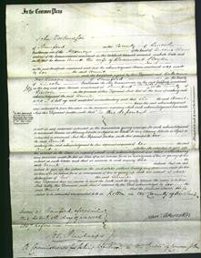 Court of Common Pleas - Annie Clayton-Original Ancestry