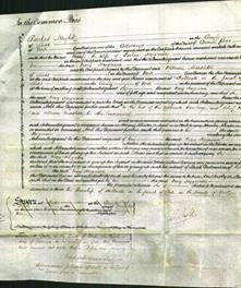 Court of Common Pleas - Mary Hargreave-Original Ancestry