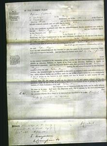 Court of Common Pleas - Esther Hagger-Original Ancestry