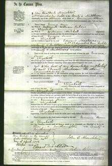 Court of Common Pleas - Emma Ann Tabois and Elizabeth Mitchell-Original Ancestry