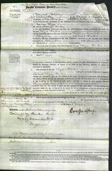 Court of Common Pleas - Eliza Baker-Original Ancestry