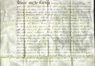 Deed by Married Women - Emily Nugent-Original Ancestry