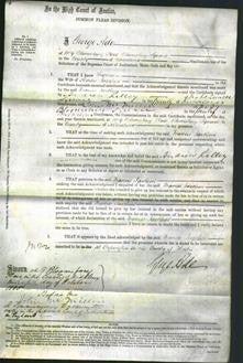 Court of Common Pleas - Frances Jackson-Original Ancestry