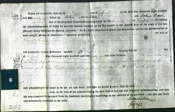 Deed by Married Women - Caroline Lewis-Original Ancestry