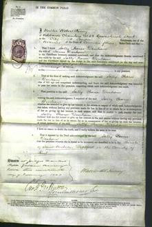 Court of Common Pleas - Sally Pearse Denham-Original Ancestry