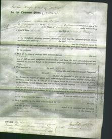 Court of Common Pleas - Sarah Phillips-Original Ancestry