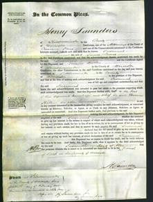 Court of Common Pleas - Susannah Lewis-Original Ancestry