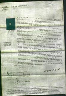 Court of Common Pleas - Sarah Williamson-Original Ancestry