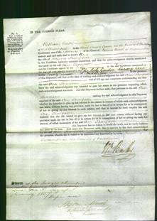 Court of Common Pleas - Ann Thompson-Original Ancestry