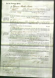 Court of Common Pleas - Mary Guy-Original Ancestry