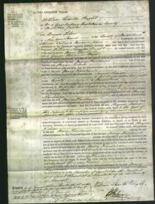 Court of Common Pleas - Mary Hardman Wright-Original Ancestry