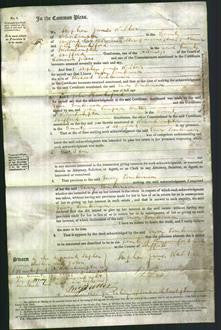 Court of Common Pleas - Mary Tomkinson-Original Ancestry