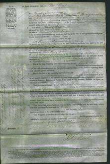 Court of Common Pleas - Sarah Ann Barker-Original Ancestry