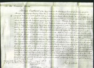Court of Common Pleas - Amelia Carlile Edgecumbe-Original Ancestry