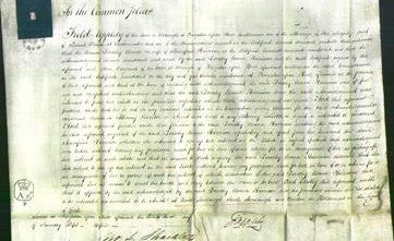 Court of Common Pleas - Dorothy Eleana Harrison-Original Ancestry