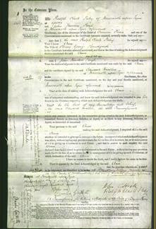 Court of Common Pleas - Ann Handyside-Original Ancestry