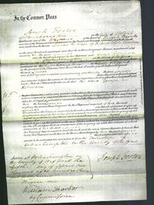Court of Common Pleas - Louisa Tamlyn-Original Ancestry