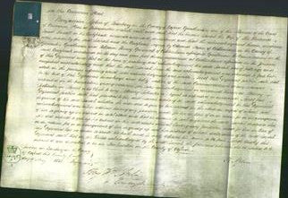 Court of Common Pleas - Sarah Fussell and Caroline Nelson-Original Ancestry