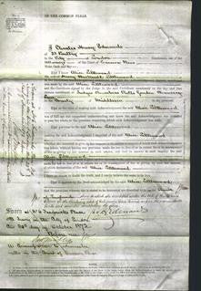 Court of Common Pleas - Alice Littlewood-Original Ancestry