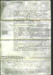 Court of Common Pleas - Elizabeth Fisher-Original Ancestry