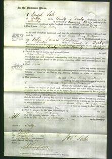 Court of Common Pleas - Eliza Mary Wadham-Original Ancestry