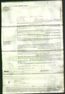 Court of Common Pleas - Sarah Jordan-Original Ancestry