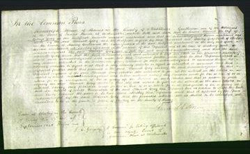 Court of Common Pleas - Harriett Gray-Original Ancestry