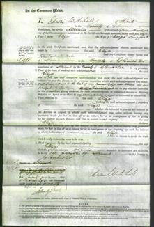 Court of Common Pleas - Eliza Langford-Original Ancestry