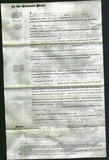Court of Common Pleas - Katharina Bigge-Original Ancestry