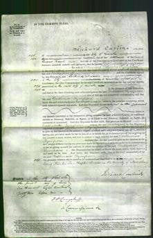 Court of Common Pleas - Catherine Sympson-Original Ancestry