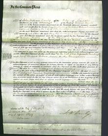 Court of Common Pleas - Mary Ann Dudding and Susanna Dudding-Original Ancestry