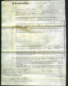 Court of Common Pleas - Matilda Long-Original Ancestry